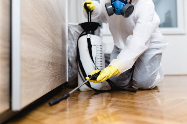 Best Residential Pest Control  in Seymour, WI