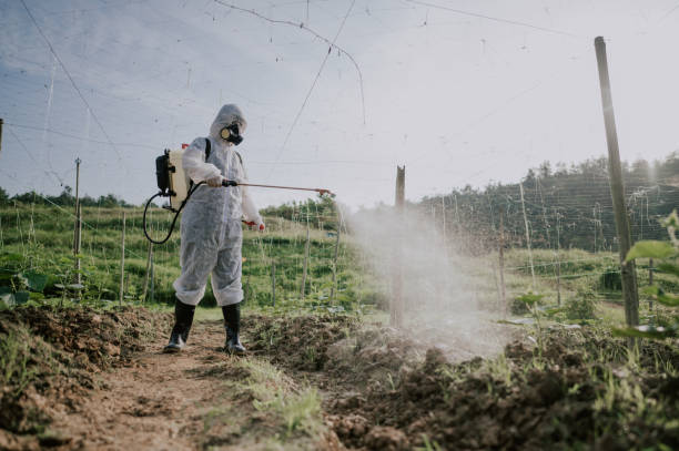 Best Local Pest Control Services  in Seymour, WI