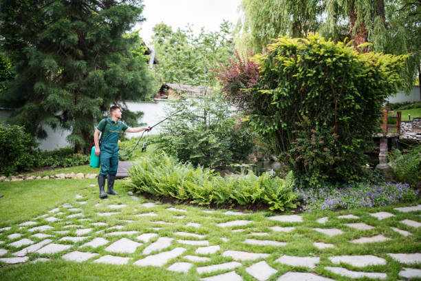 Trusted Seymour, WI Pest Control Experts