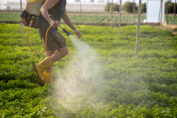 Best Pest Inspection Near Me  in Seymour, WI