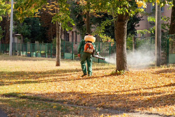 Best Best Pest Control Companies  in Seymour, WI