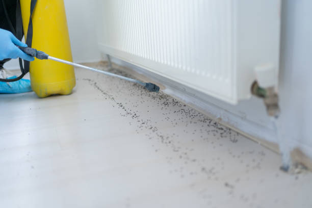 Best Pest Control Near Me in Seymour, WI