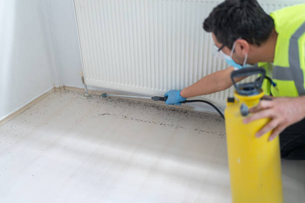 Professional Pest Control in Seymour, WI