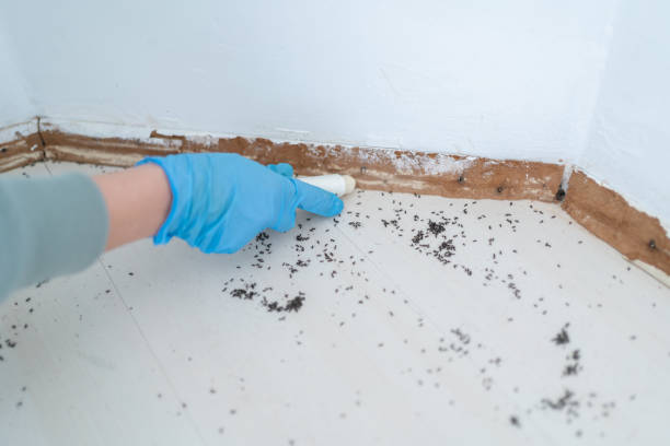 Best Commercial Pest Control Services  in Seymour, WI